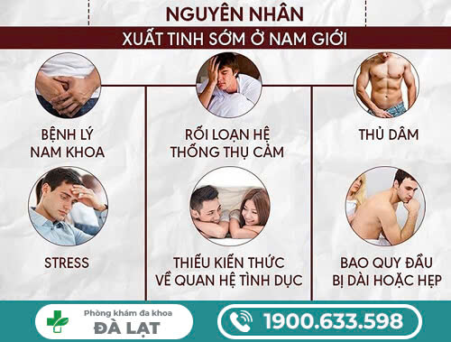 Hình ảnh minh họa